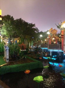 去冬日里的上海南京，给心情放个假 7日穷游上海日致